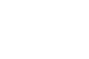 LEPU MEDICAL
