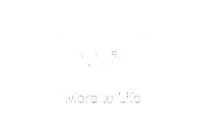 MERIL